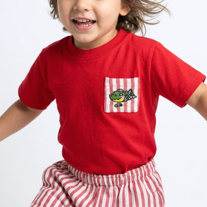 Conjunto "Bombardino"