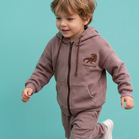 Conjunto north dino tela waffle